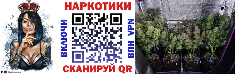 Купить наркотики цена Правдинск Гашиш  COCAIN  Мефедрон  АМФ  Канабис 