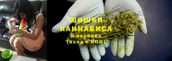 индика Алексеевка