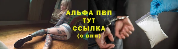 ешки Алексин