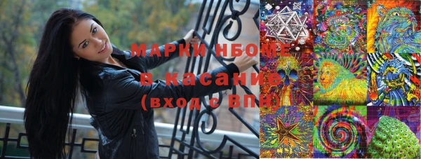 ешки Алексин