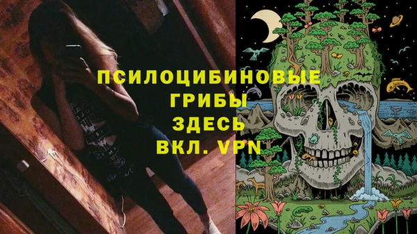 ешки Алексин