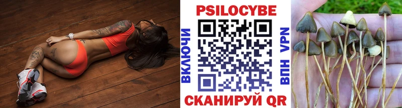 Галлюциногенные грибы мухоморы  MEGA вход  Правдинск  наркота 